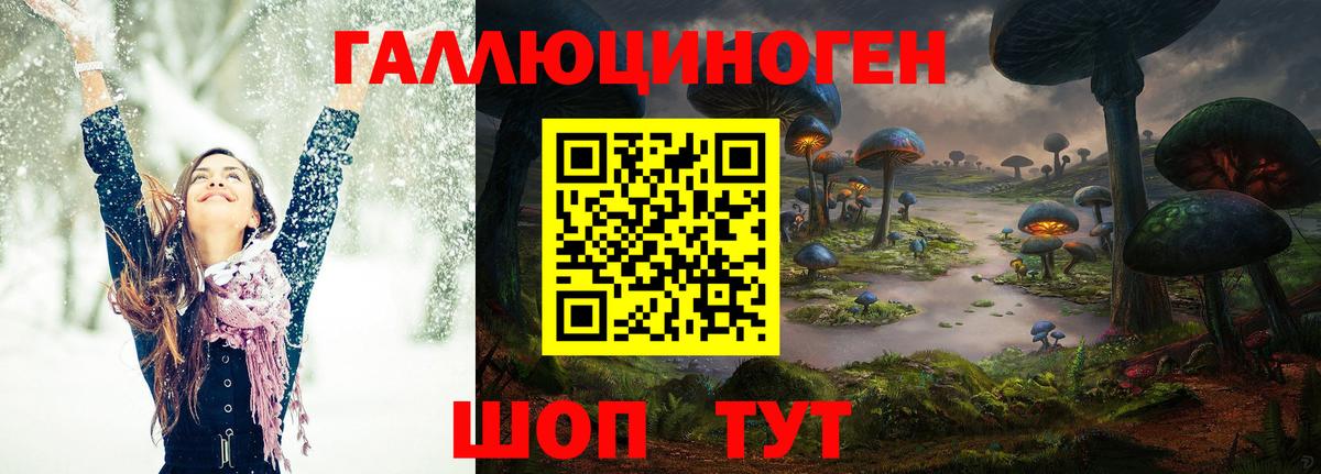 Псилоцибиновые грибы Magic Shrooms  Вход с VPN  Гусь-Хрустальный  Псилоцибиновые грибы Magic Shrooms 