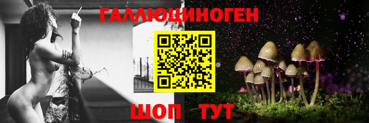 Галлюциногенные грибы GOLDEN TEACHER Гусь-Хрустальный